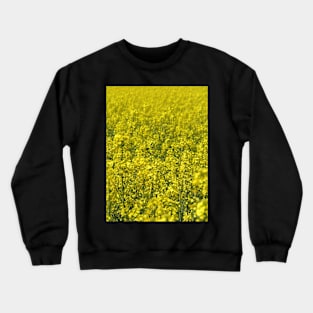 Field of Yellow: Rapeseed (canola), south of France, spring Crewneck Sweatshirt